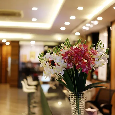 Hotel Starlight