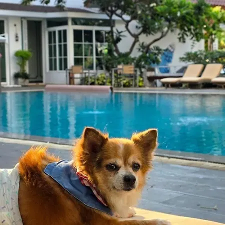 Hill Fresco โรงแรม Pattaya