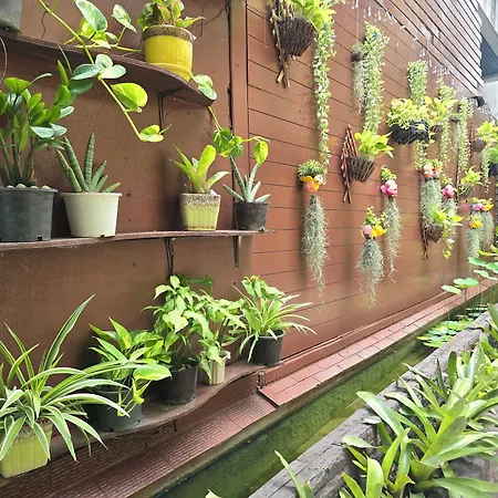 บารอน บีช โรงแรม 4*