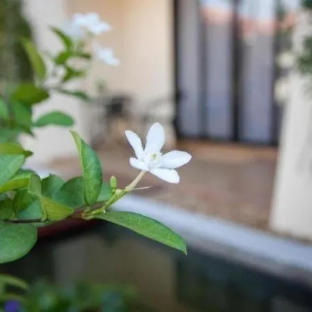 รีสอร์ท Lotusland 3*