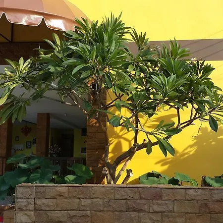 Inn The Moonlight Place 3*