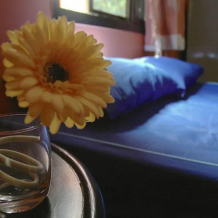 Apartment At Ease