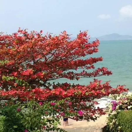 Majestic Pool * Pattaya