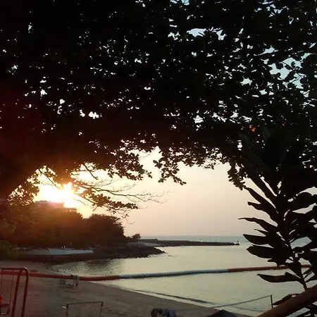 Modus * Pattaya
