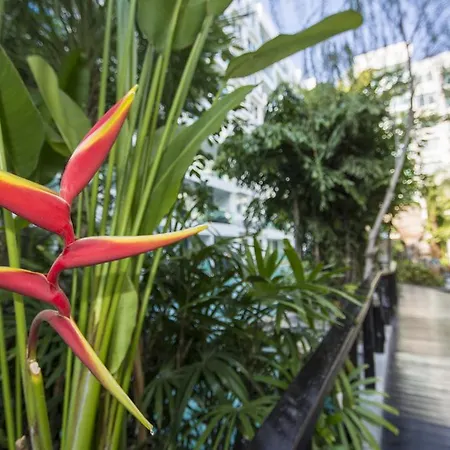 Amazon Jomtien Apartment