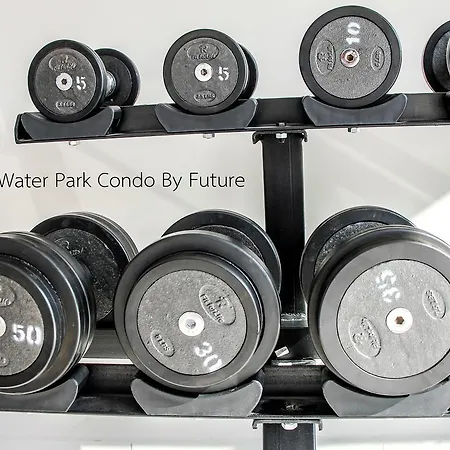 Water Park By Future *