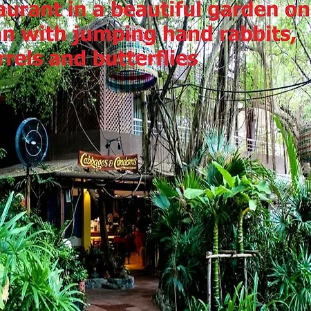 Tropical Garden