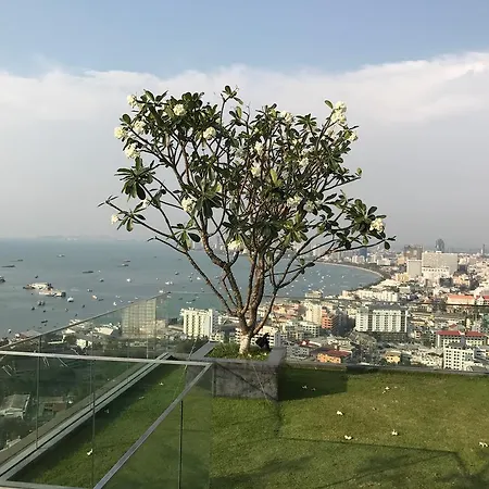 Unixx South - Thaitiger * Pattaya