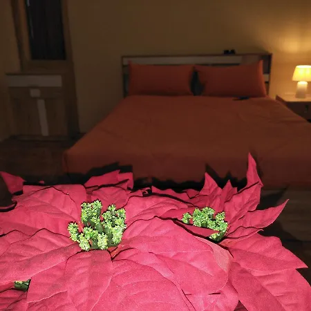 The Chillax Guest house