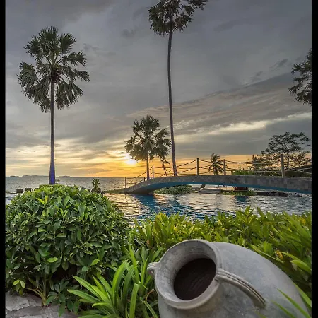 The Palm Front *