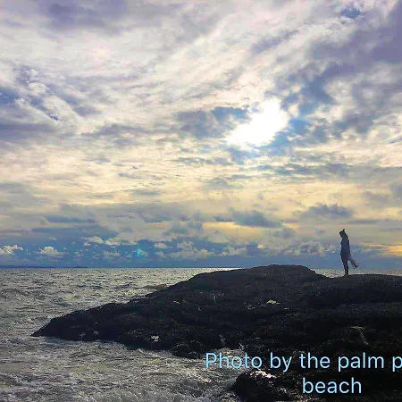 The Palm Front
