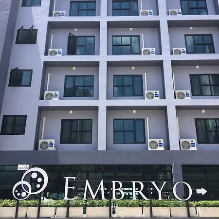 Embryo 4*