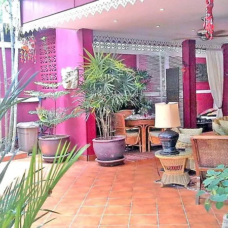 Amazing Tropical Family Thai Style Costs Included *