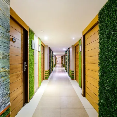 Oyo 143 Dday Resotel