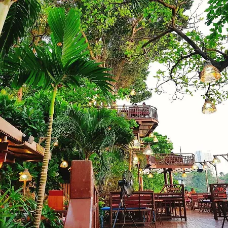 Birds And Bees Pattaya