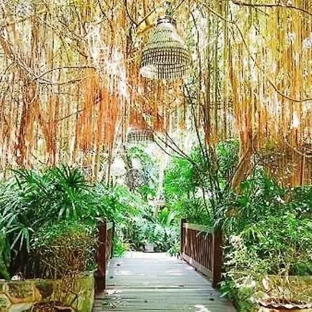 Birds And Bees Pattaya