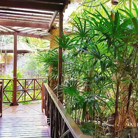 Birds And Bees 3* Pattaya