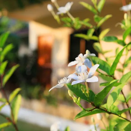 Green Beach โรงแรม 3*