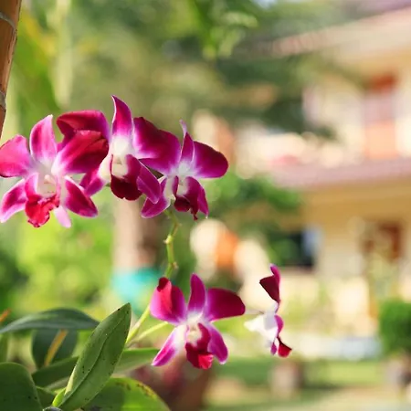 Green Beach โรงแรม Pattaya