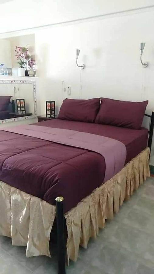 Apartment Fly Bird *