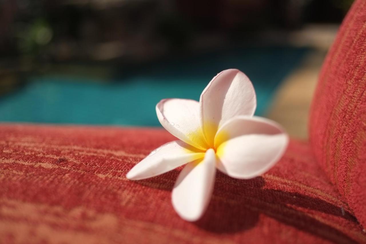 พระตำหนักวิลล่า 10 ห้องนอน พร้อมสระว่ายน้ำส่วนตัว *