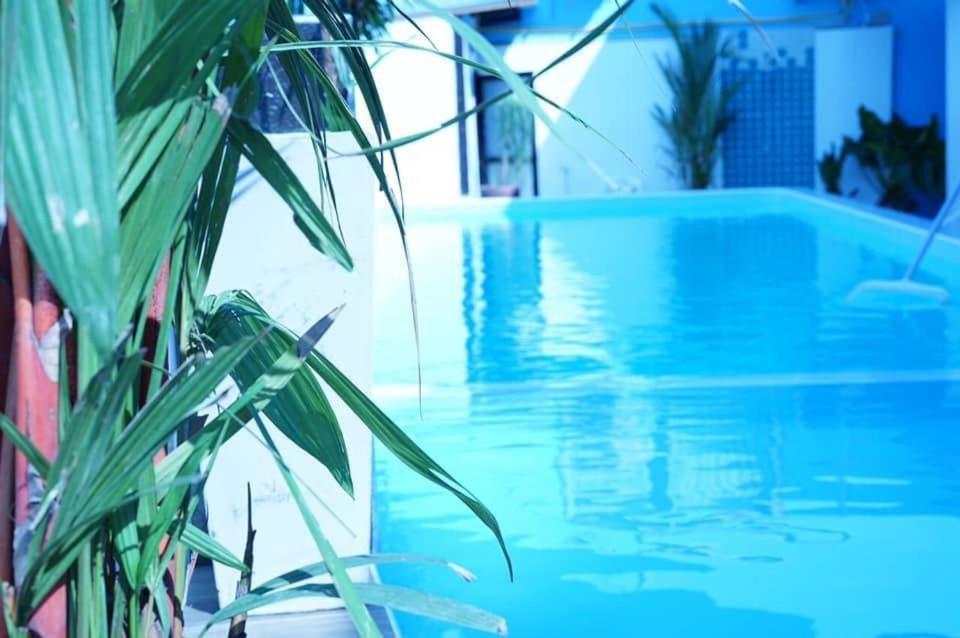 The Leaf&pool Kohlarn เดอะลีฟ&พลู ที่พักเกาะล้าน Pattaya