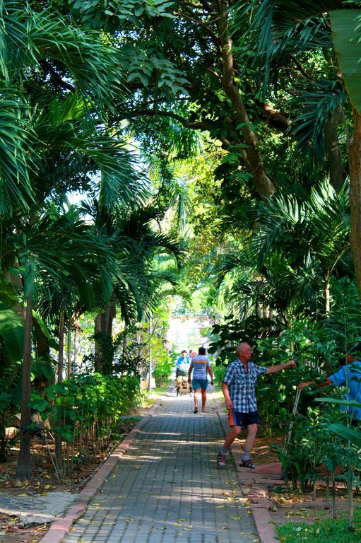 Garden Pattaya