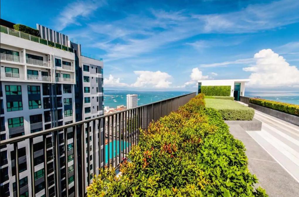 Apartment - Sea View Large Balcony With Infinity Pool Pattaya