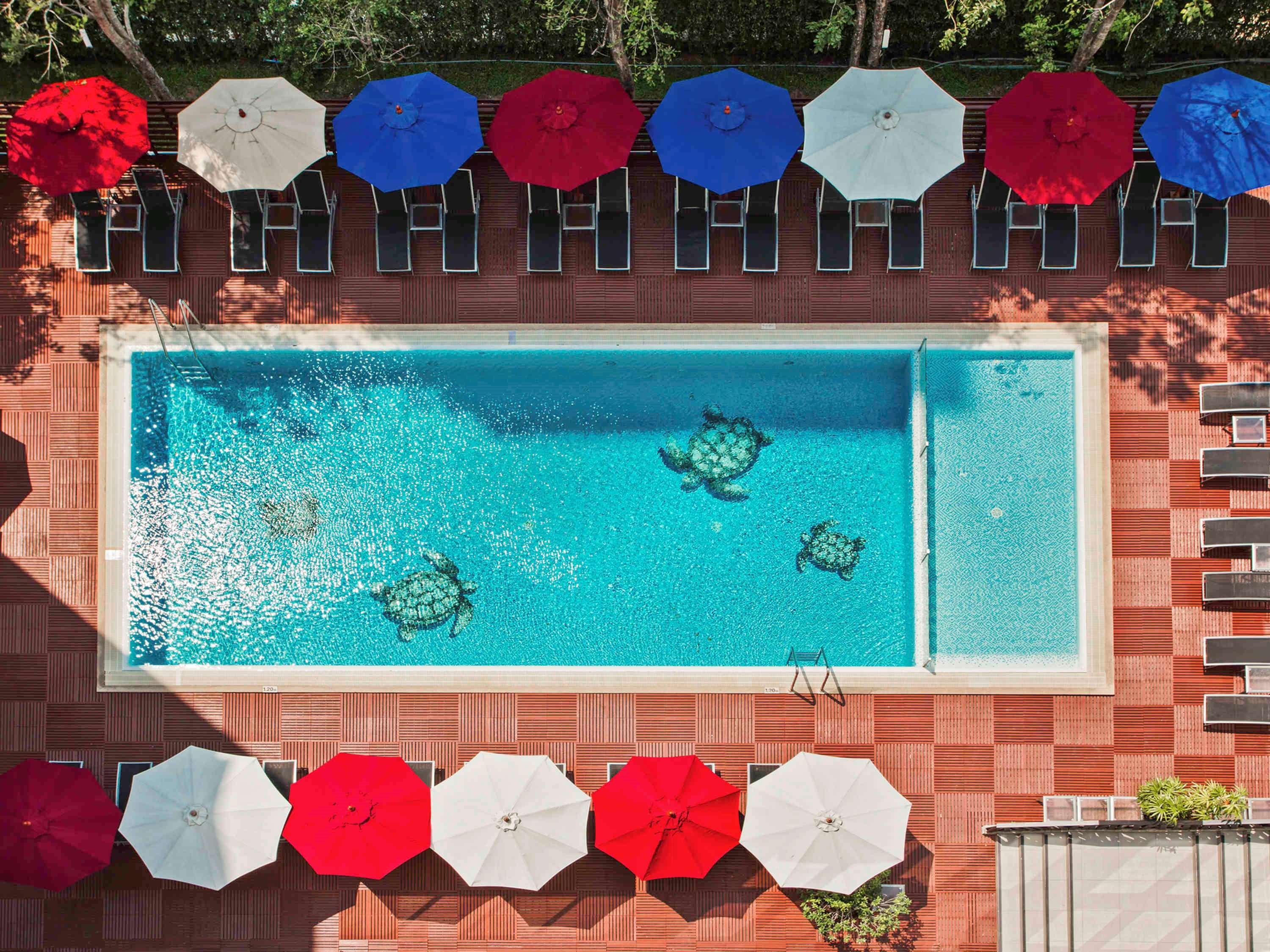 Ibis 3*