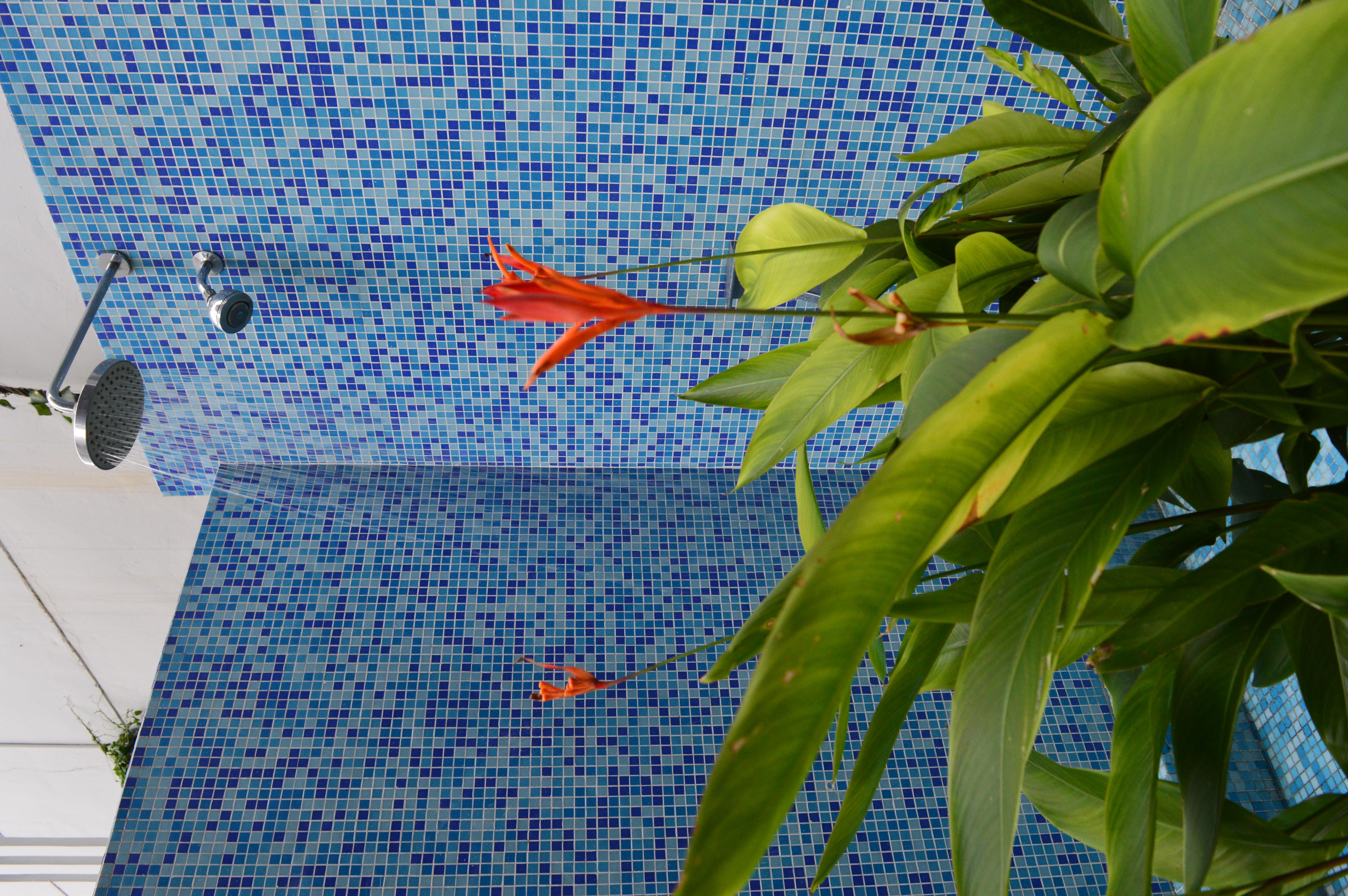 Hotel Aya Boutique - Sha 4*