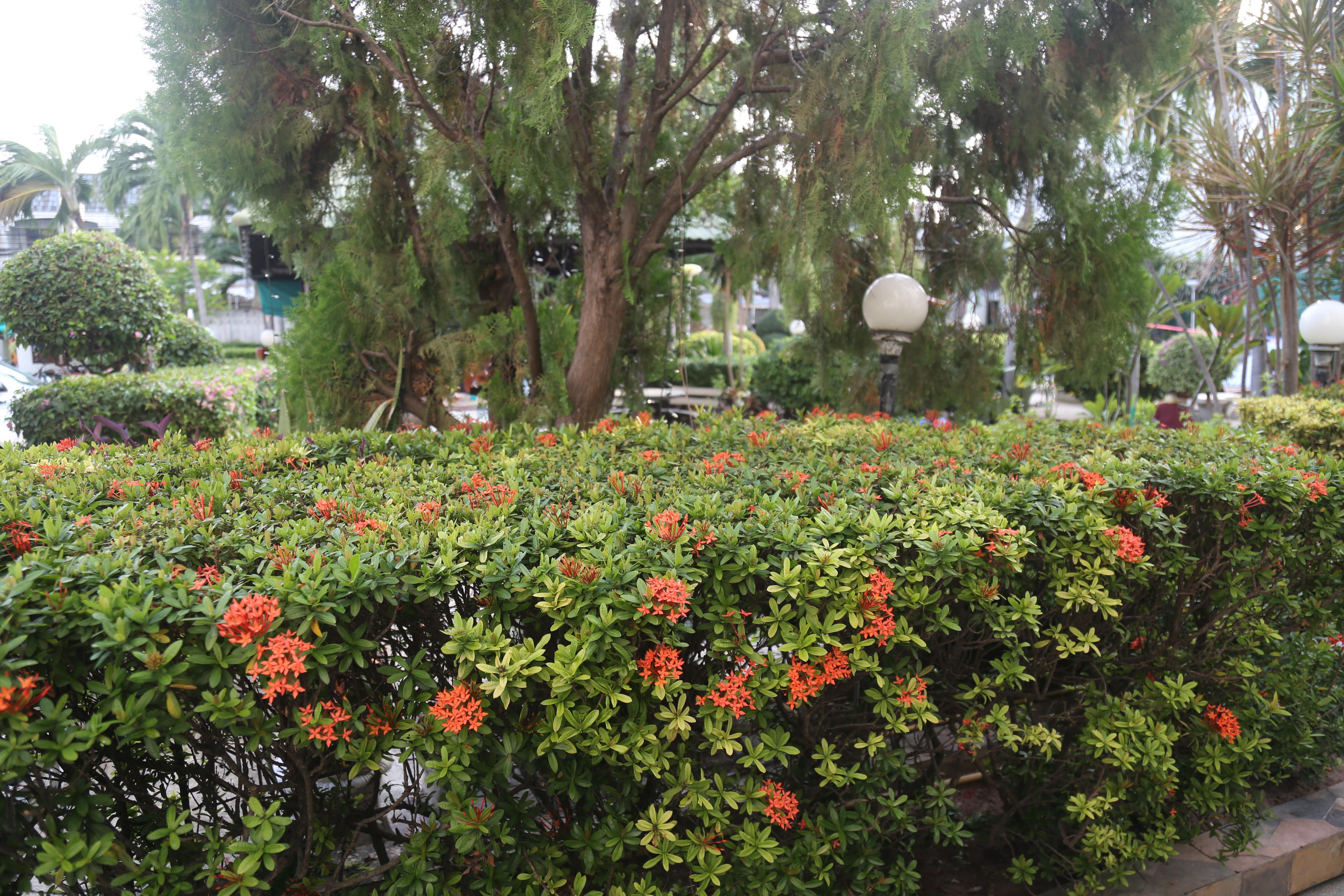 Romeo Palace 3*
