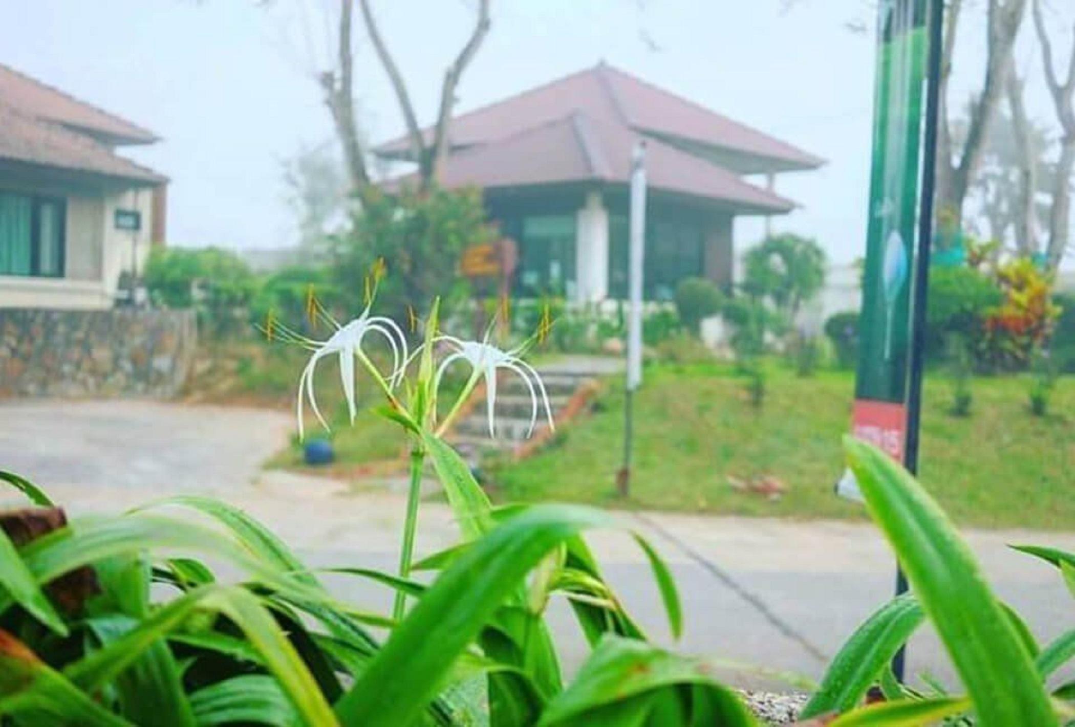 Resort Country Club & Pattaya