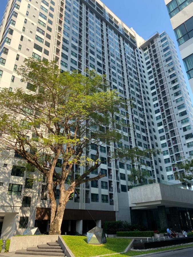 The Base In Apartamento