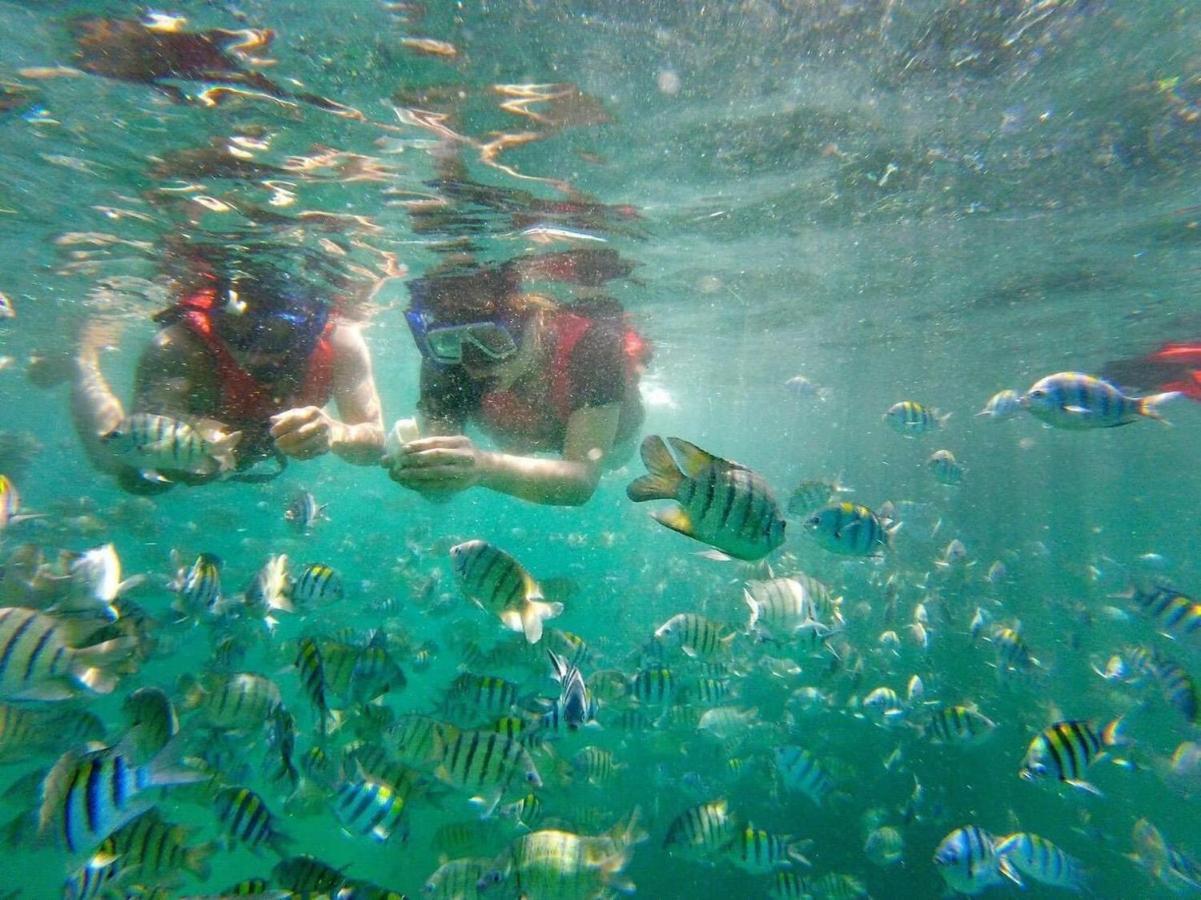 Villa *city~house* 芭堤雅豪华泳池别墅近步行街 Pattaya