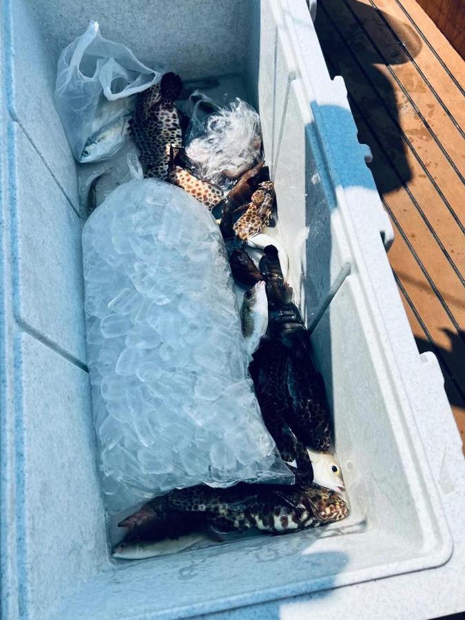 *city~house* 芭堤雅豪华泳池别墅近步行街