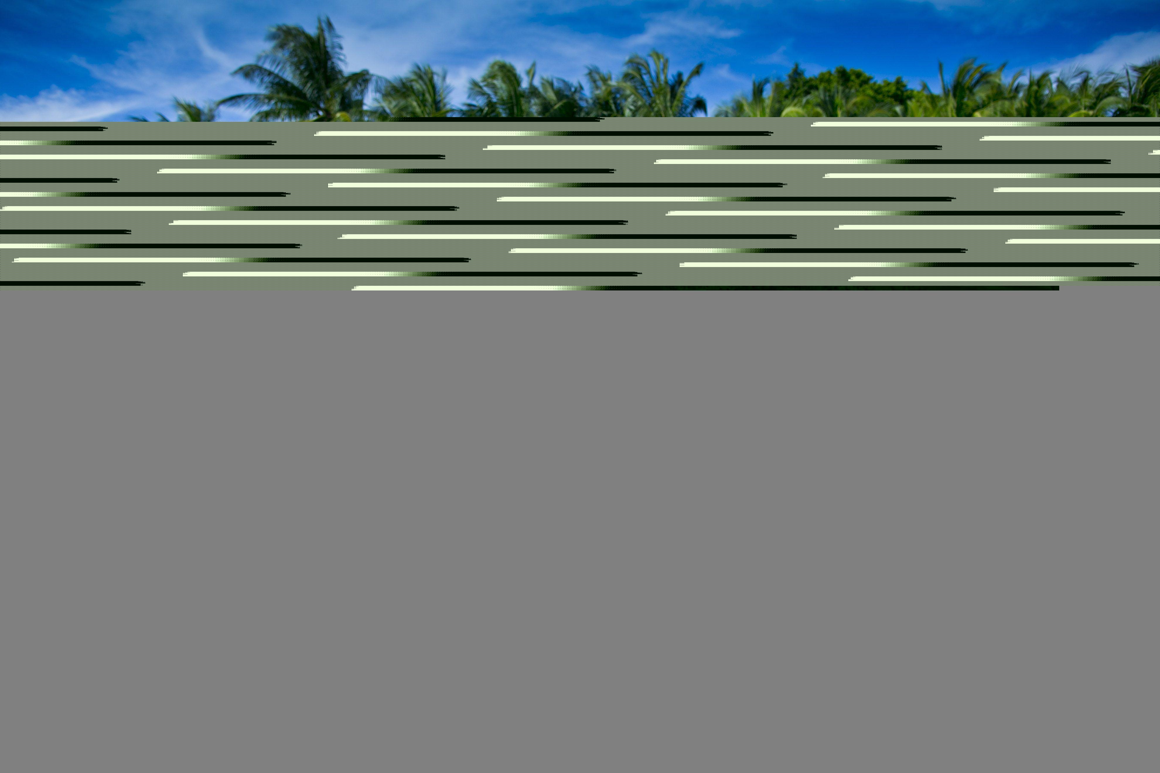 Hard Rock (adults Only)