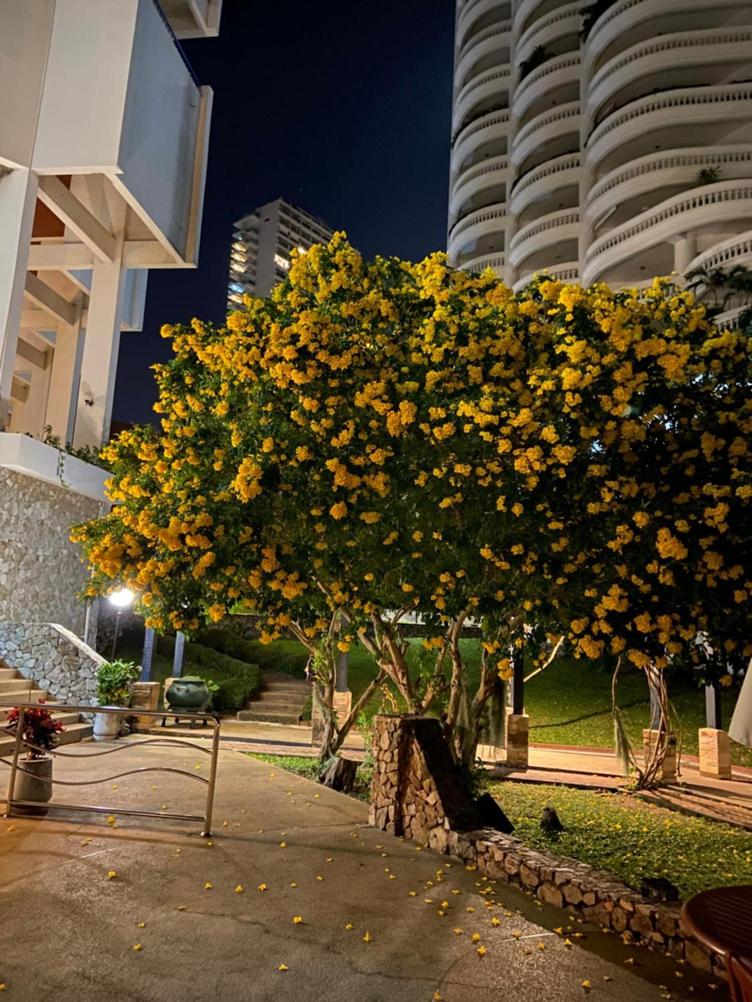 Amazing Cozy Seaview Pattaya