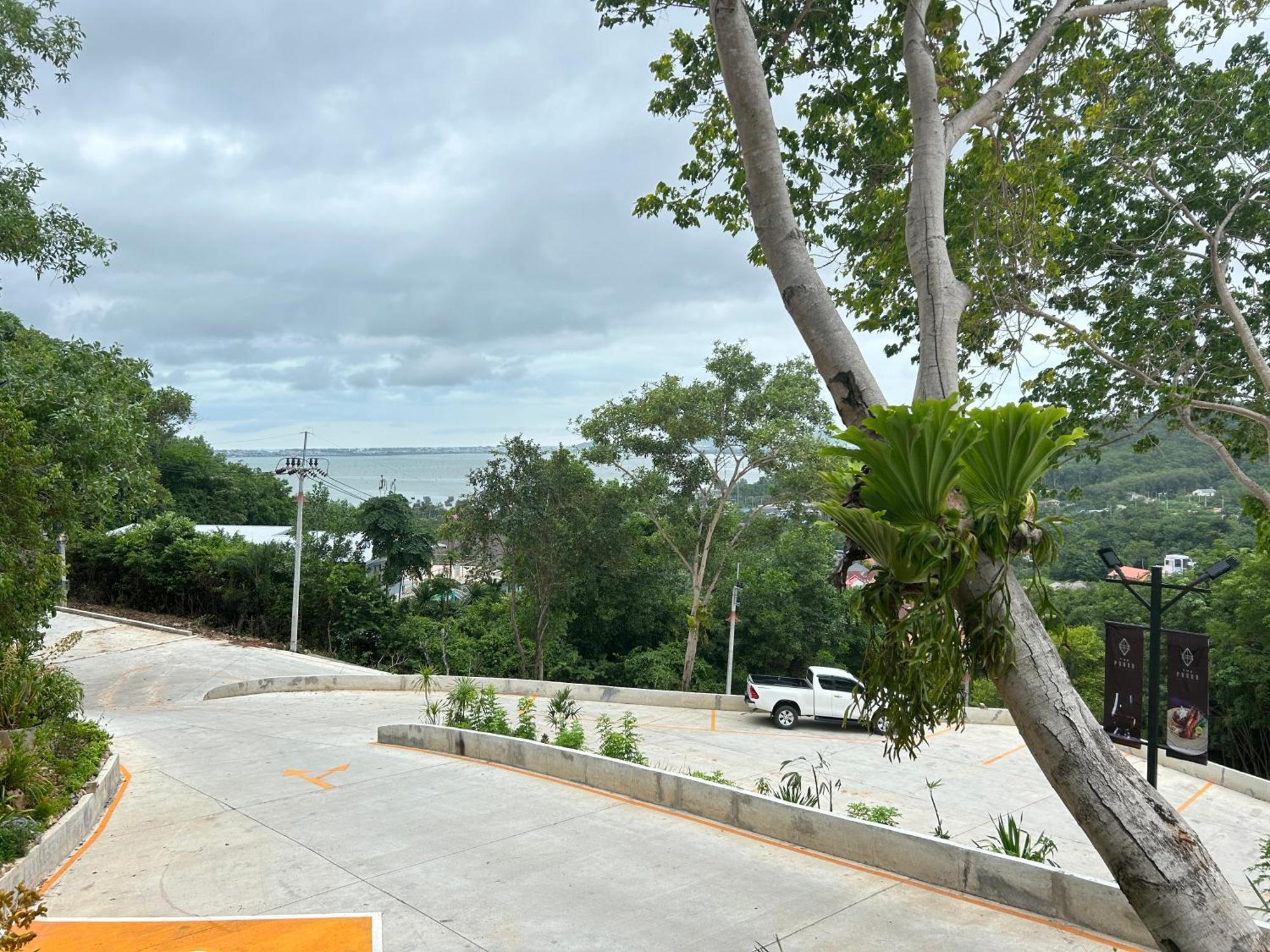 Mina View 2