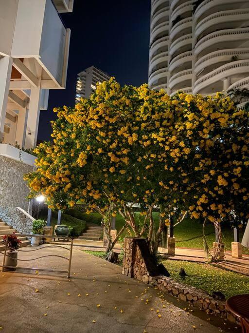 Amazing Beautiful Seaview Apartment