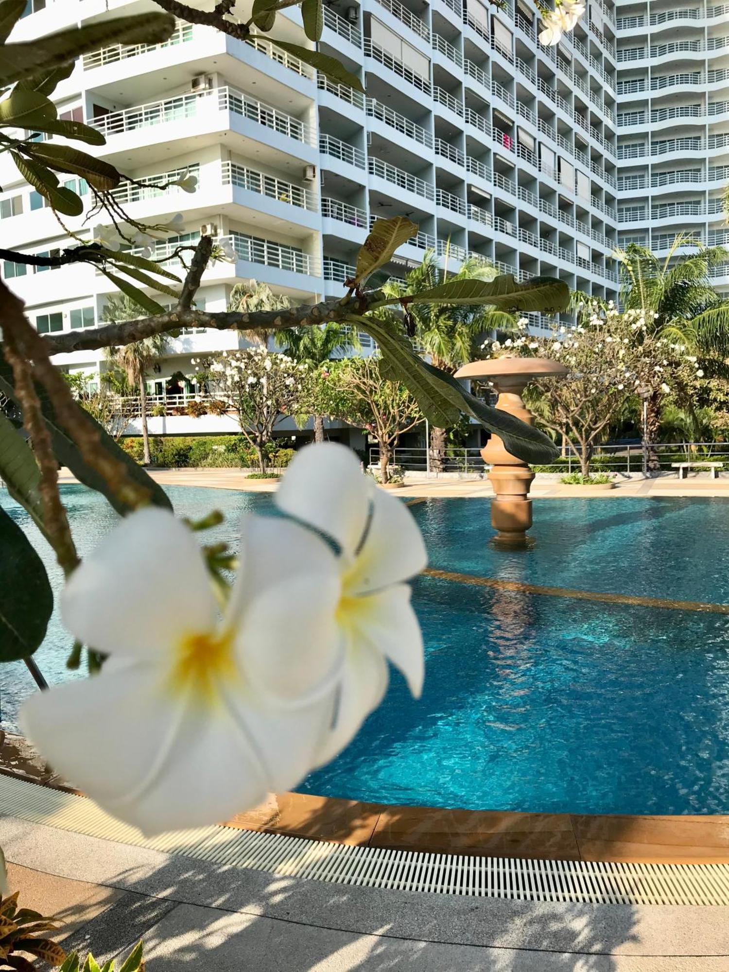 View Talay 7 Seaview * Pattaya
