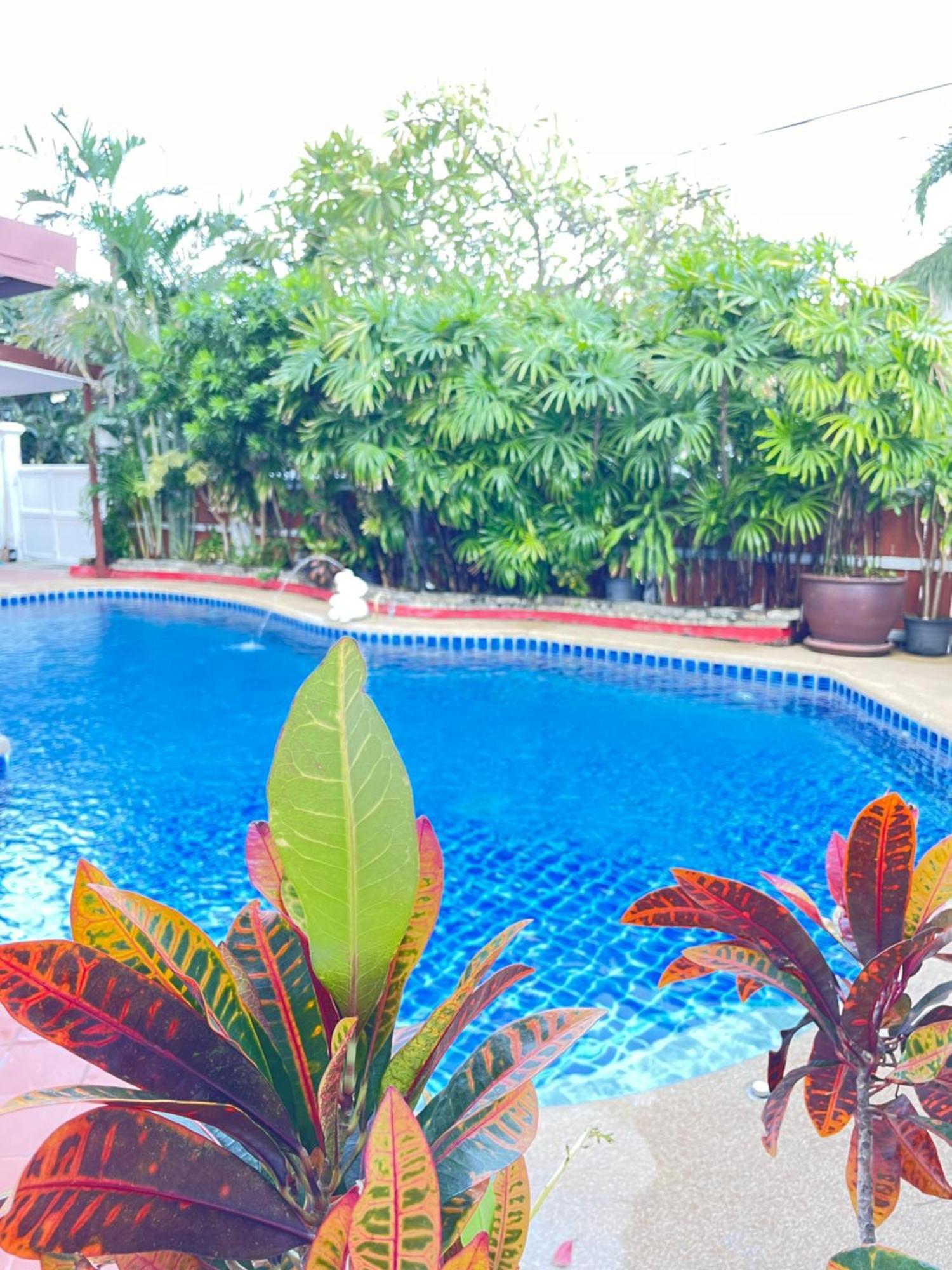 Villa Pool Villa39a 300 Mater To Gate Exit