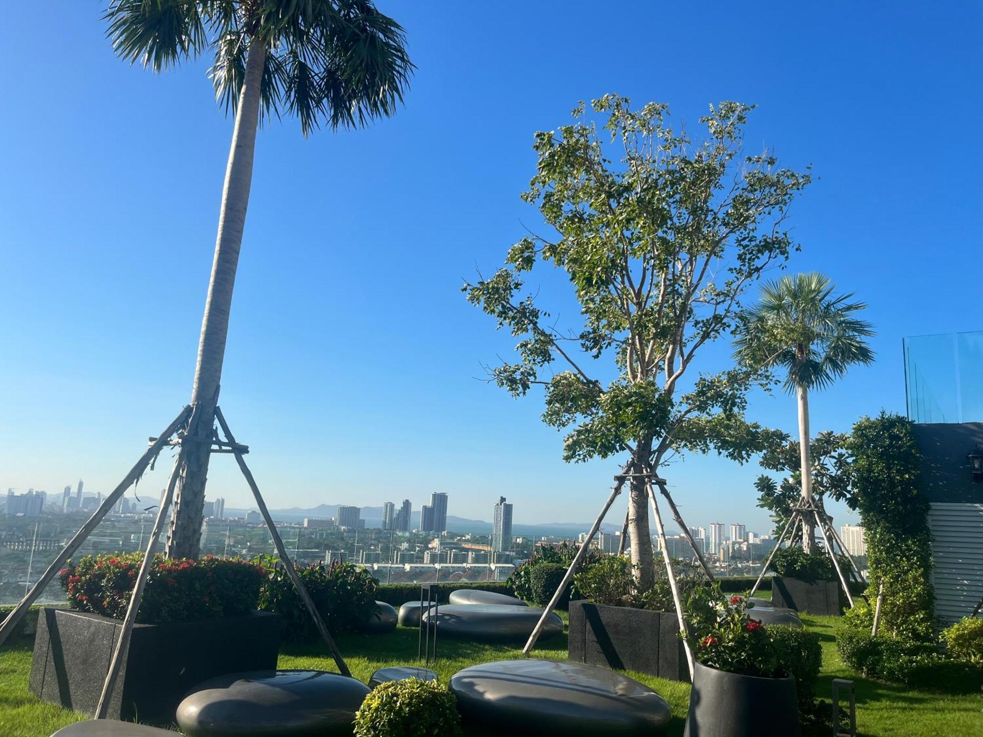 Arcadia Millennium Tower Apartment