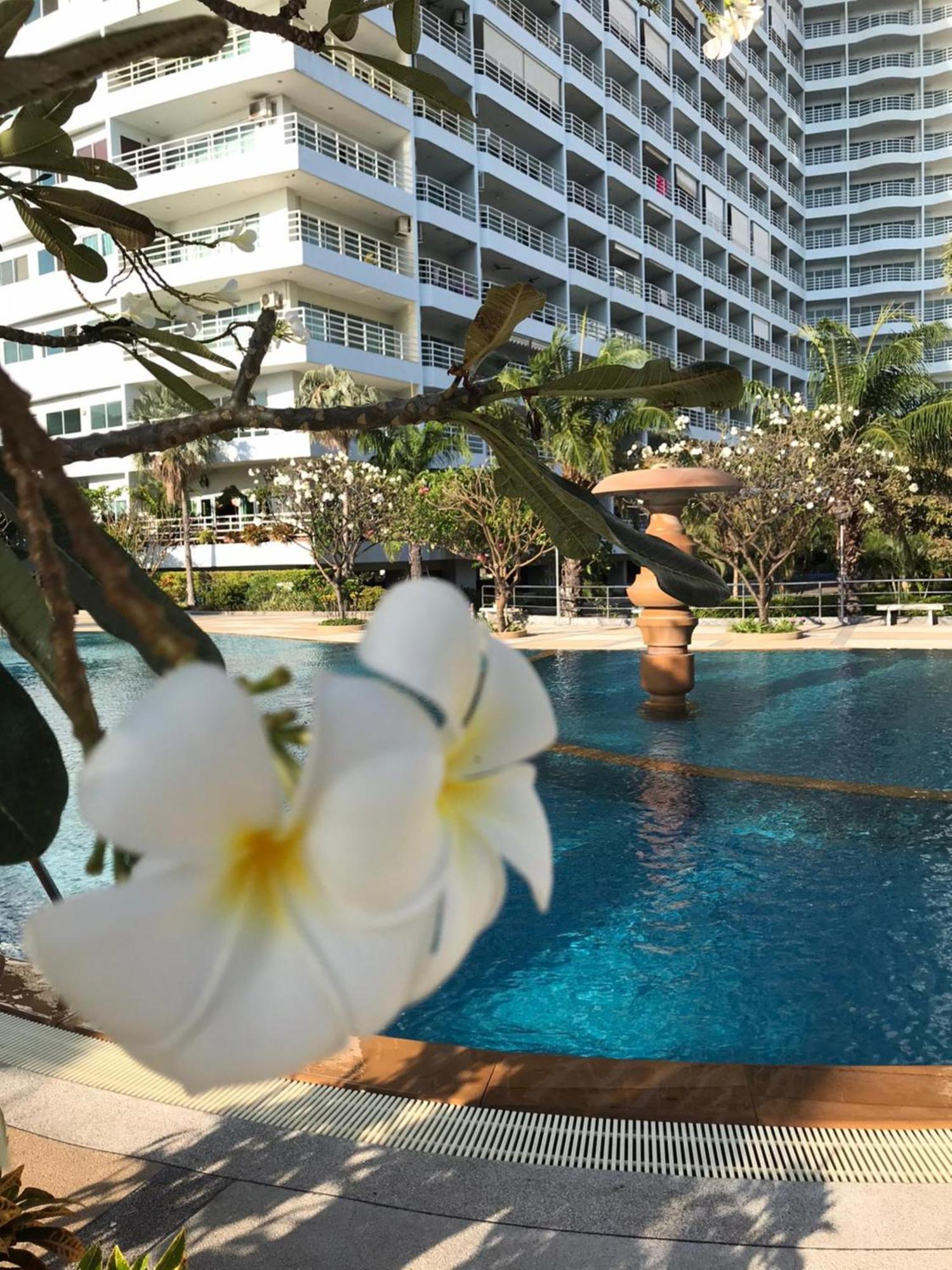 View Talay By Vlad Apartment