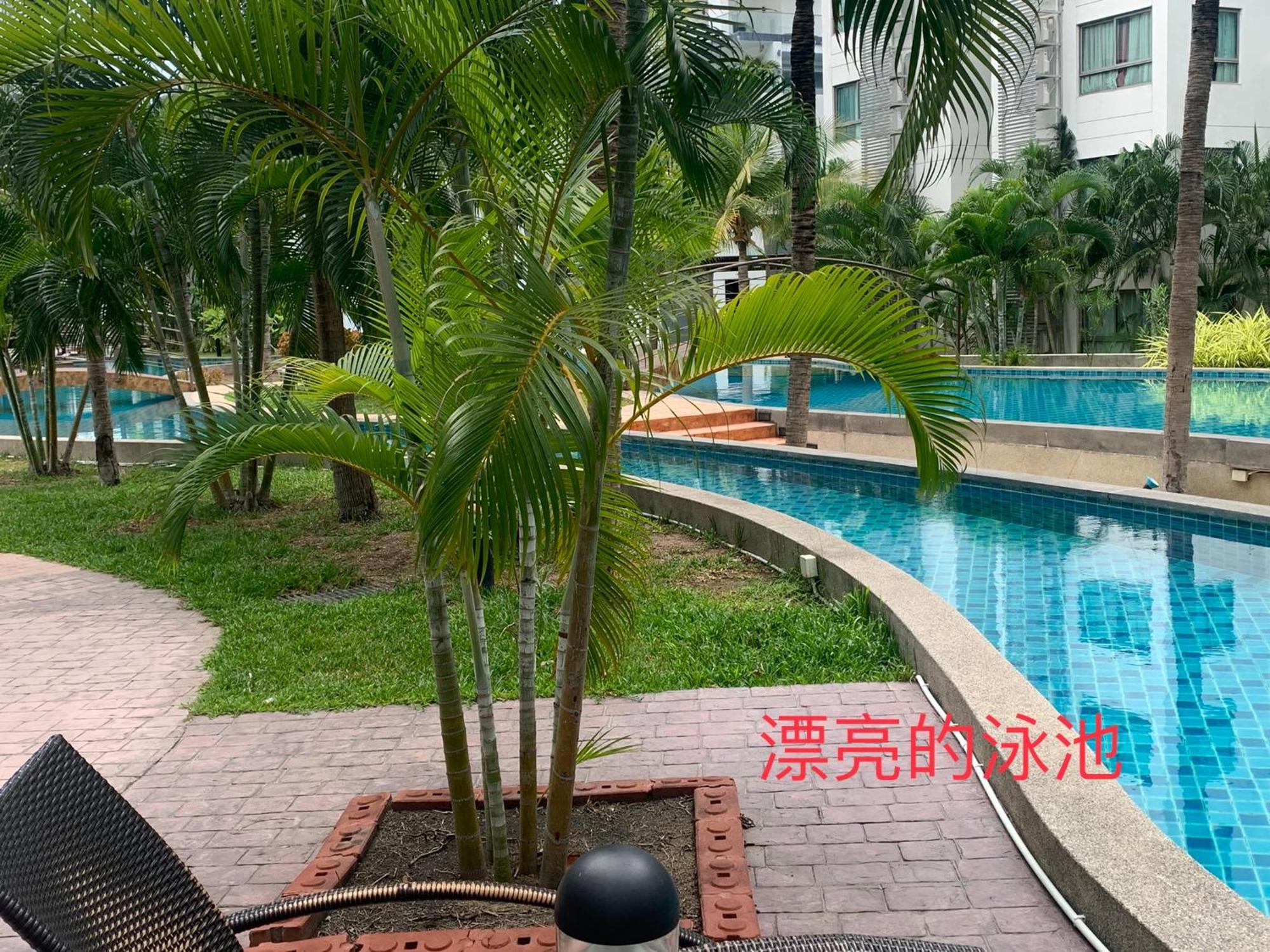 Apartment Arcadia Beach: Trendy Pool-view With Fitness Center Pattaya