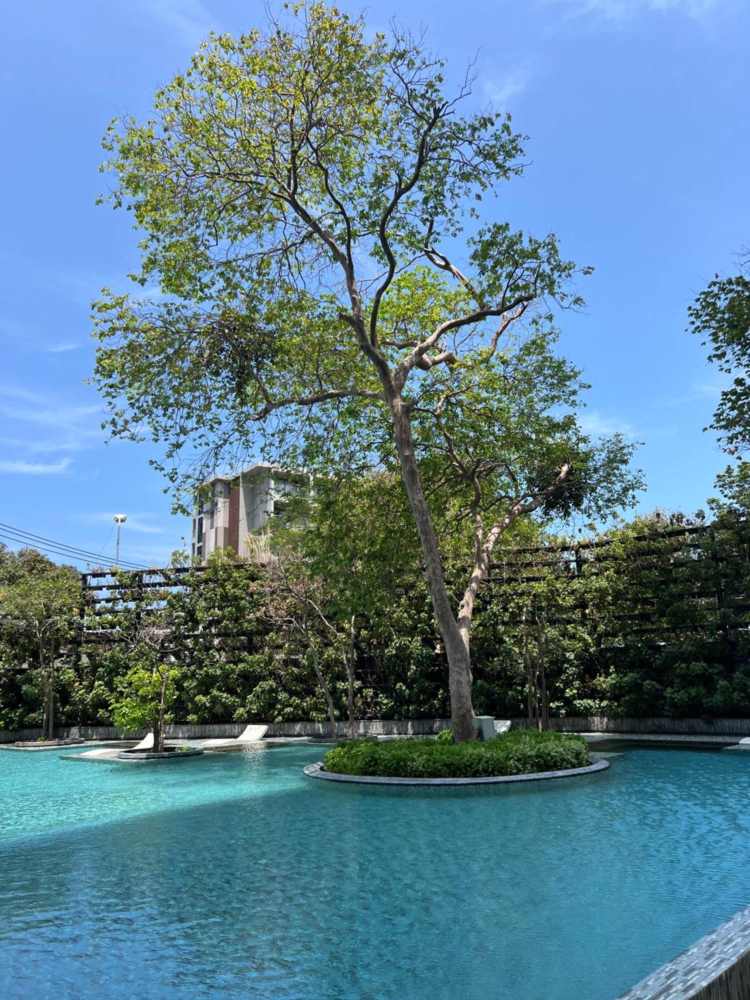 Wong Amat Luxury Condo--private Beach