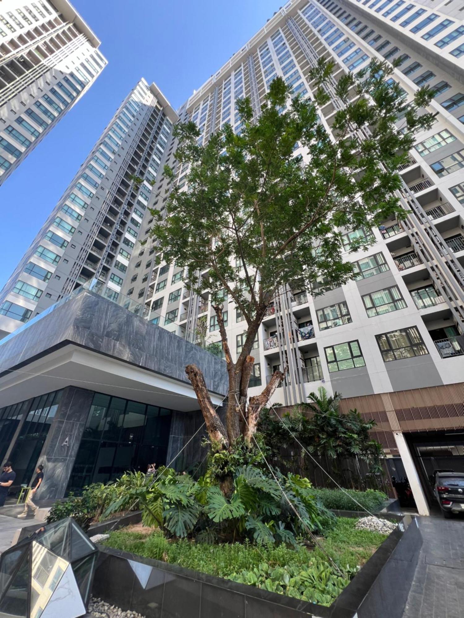秘狗公寓the Base Apartment Pattaya