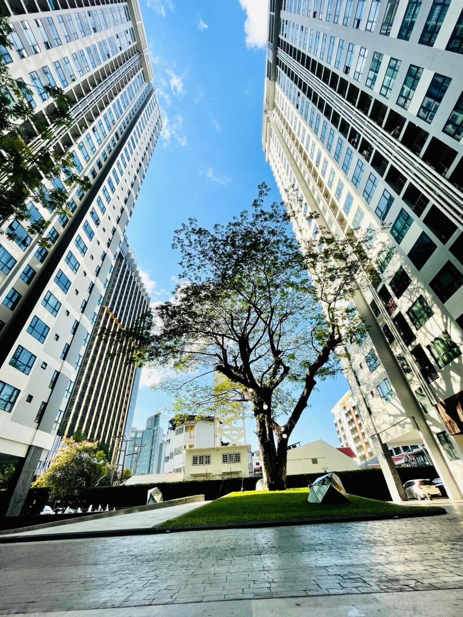 The Base 639 By Numam Apartment Pattaya