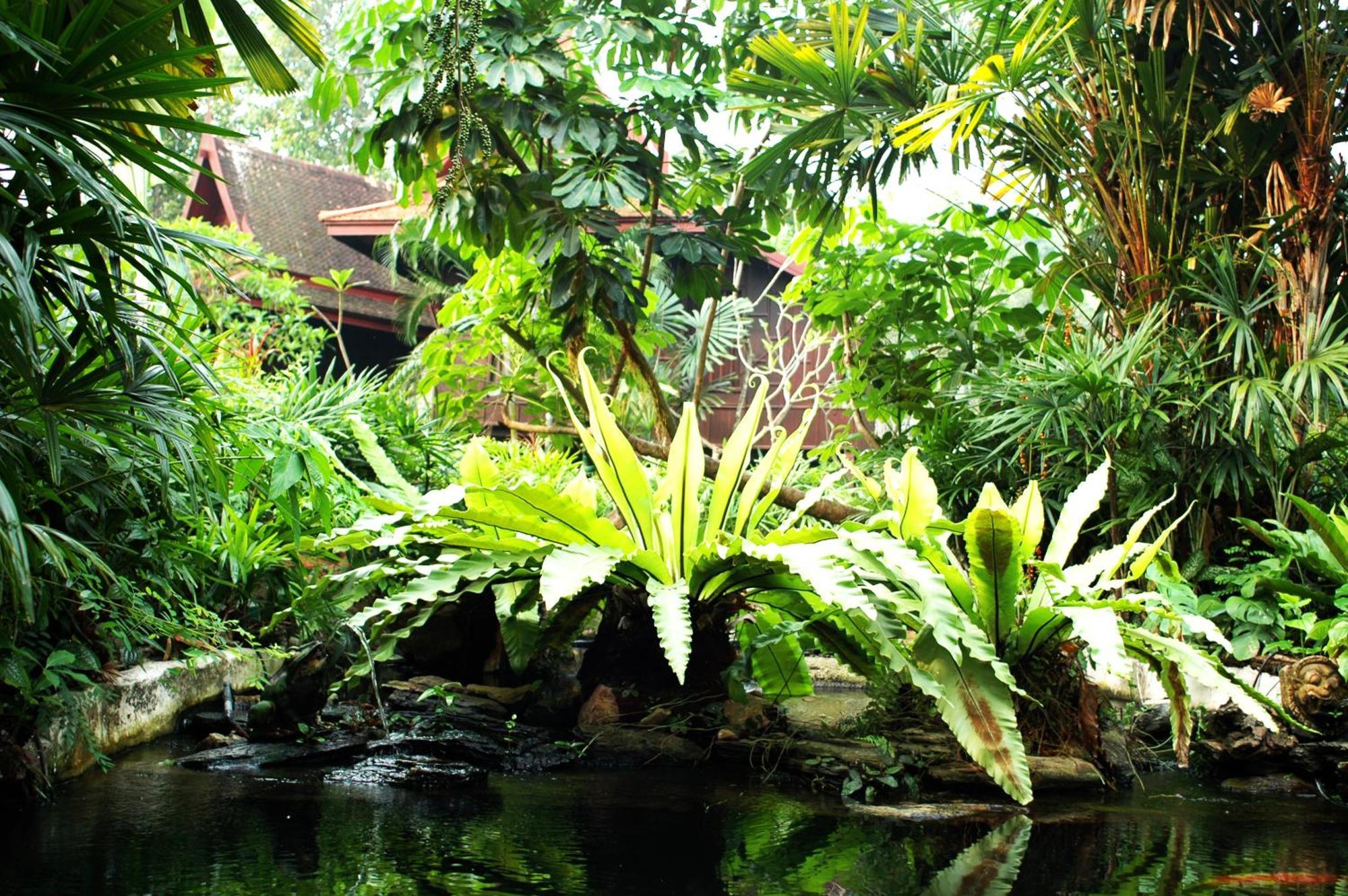 Sugar Hut & Restaurant Tempat peranginan