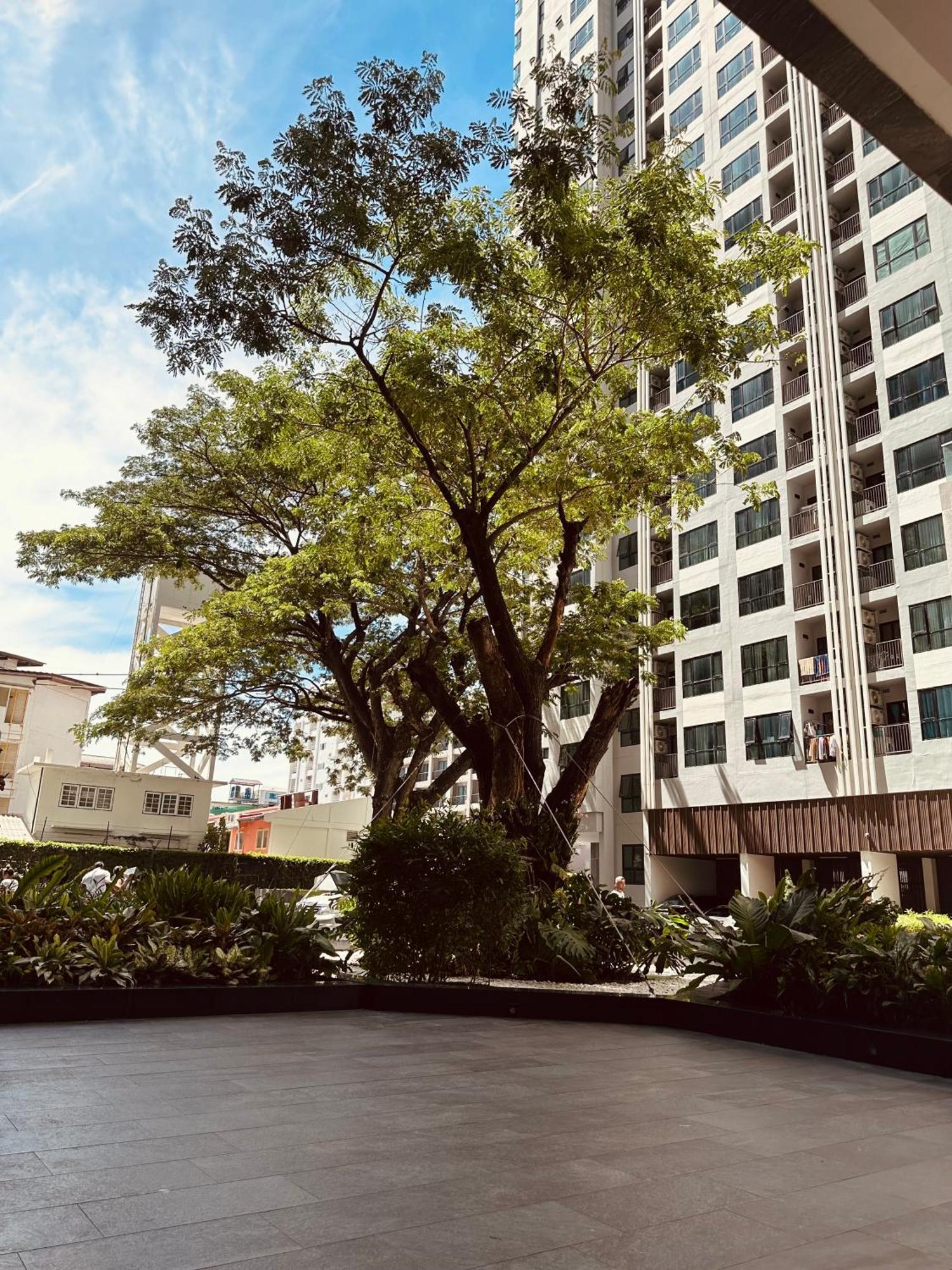 The Base At *