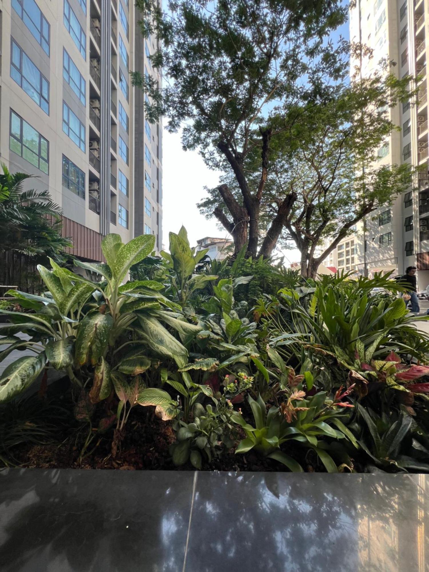 Apartment 秘狗公寓 The Base Pattaya